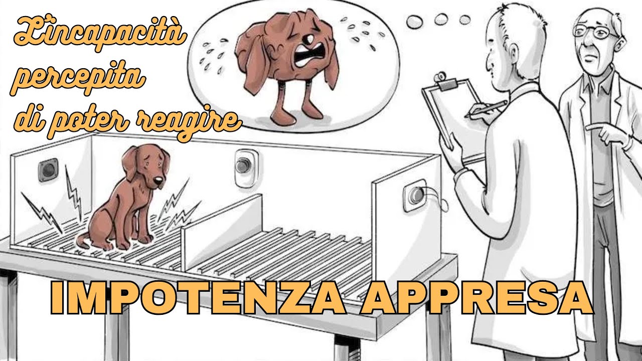 IMPOTENZA APPRESA