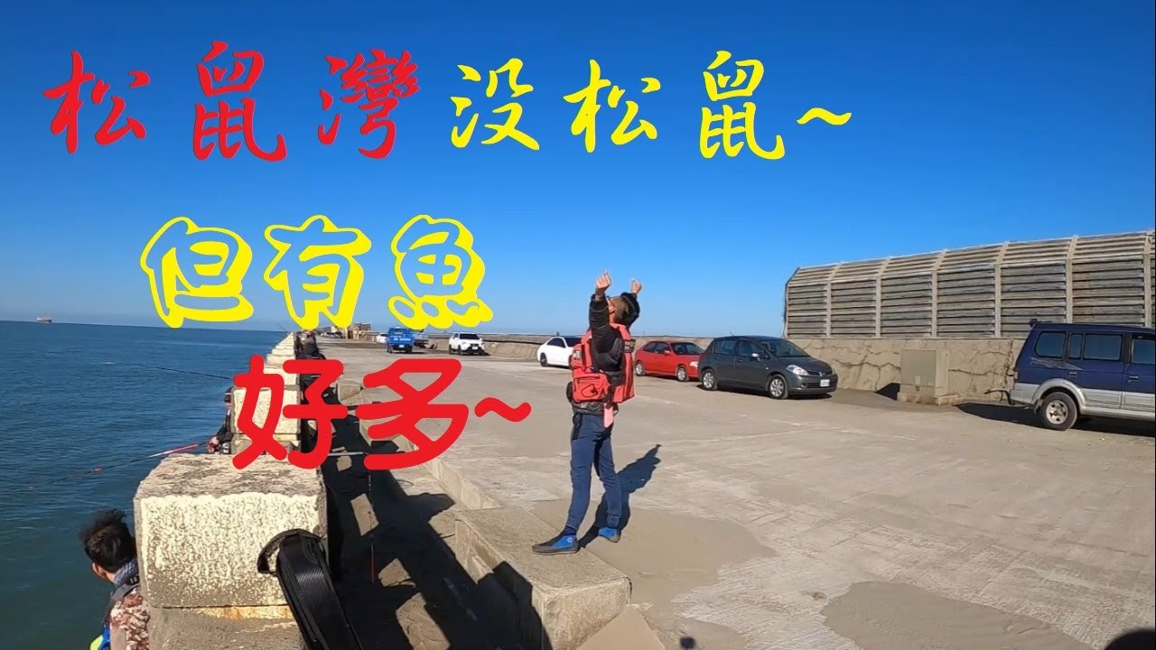 活蝦買不夠給魚吃啦~首次來到松鼠灣體驗!!不錯~
