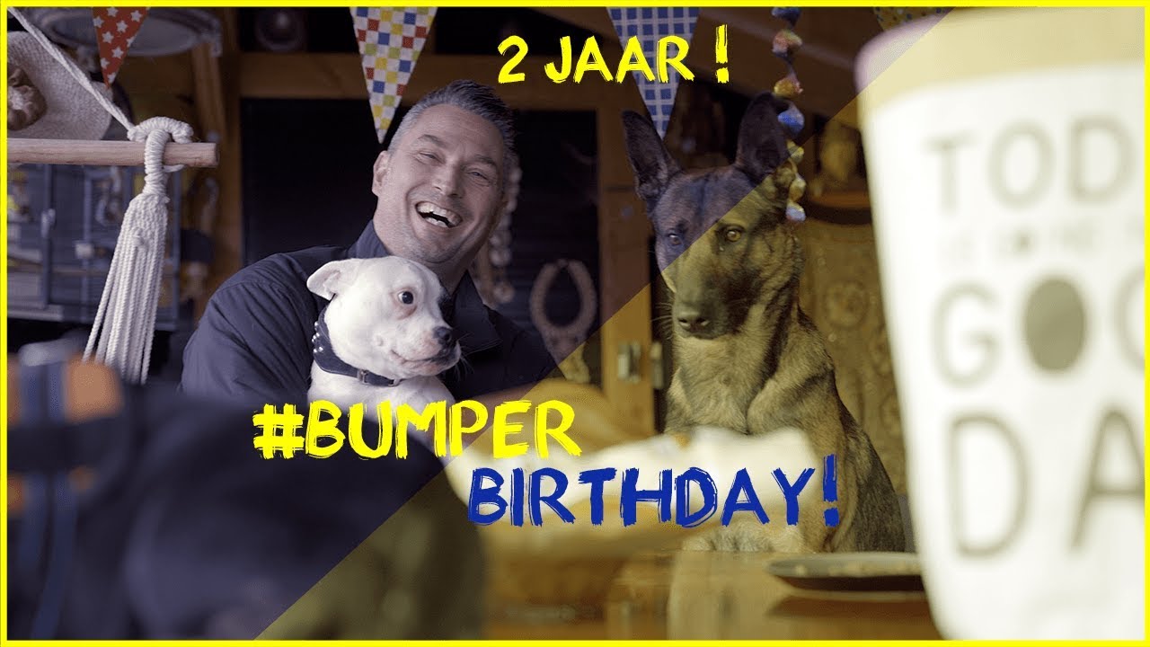 BUMPER'S BIRTHDAY PARTY!