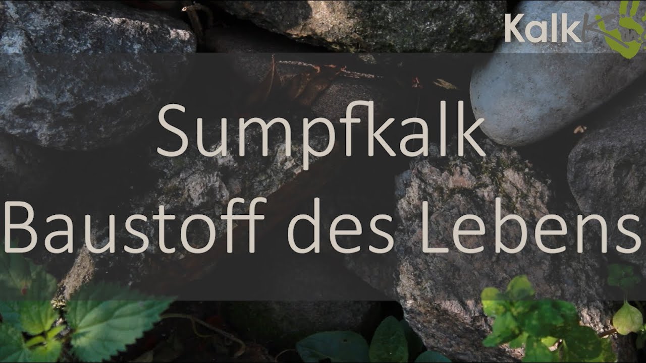 Sumpfkalk I Baustoff des Lebens I Der Kreislauf erklärt
