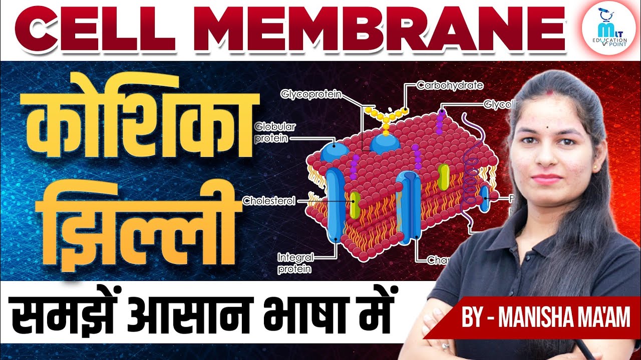 Cell Membrane in Hindi | Cell Membrane Structure & Function Explained | MLT Anatomy Lecture