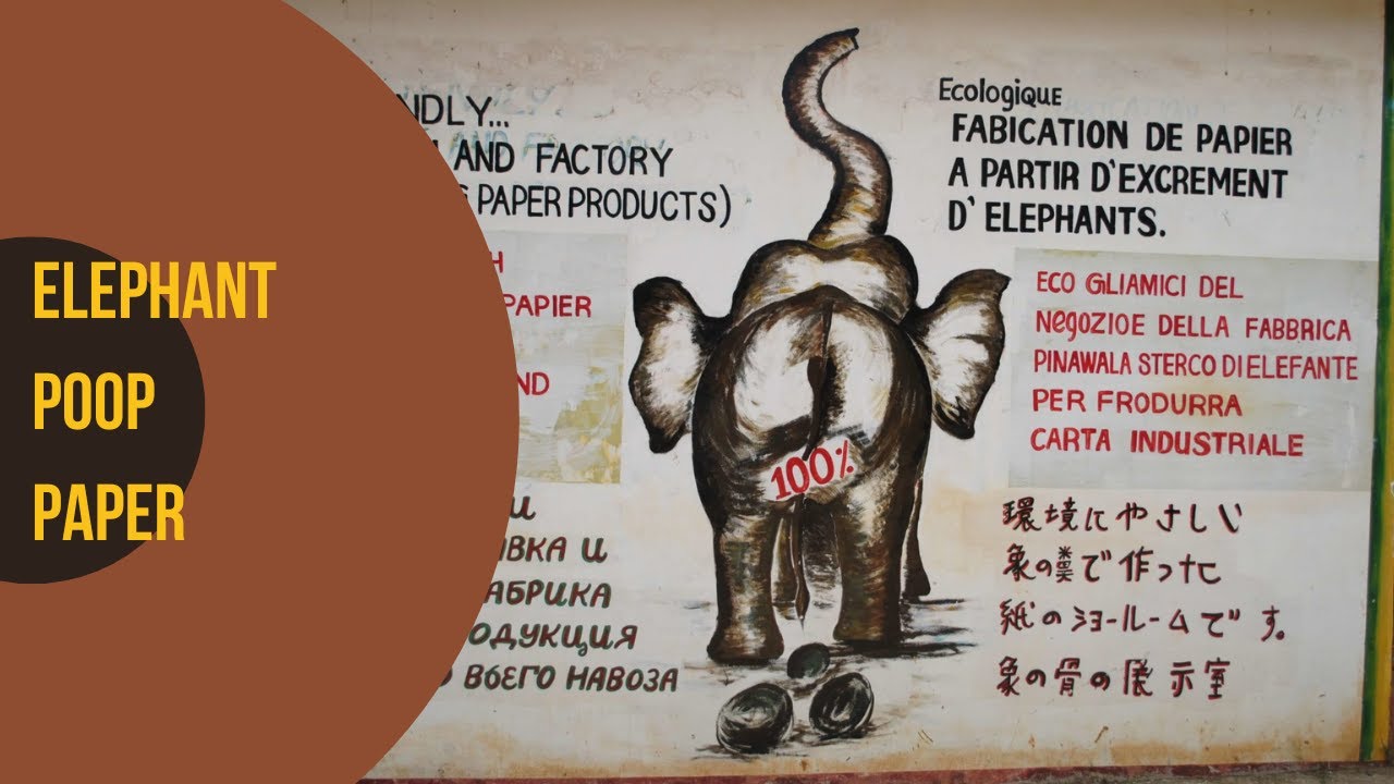 Elephant poop paper