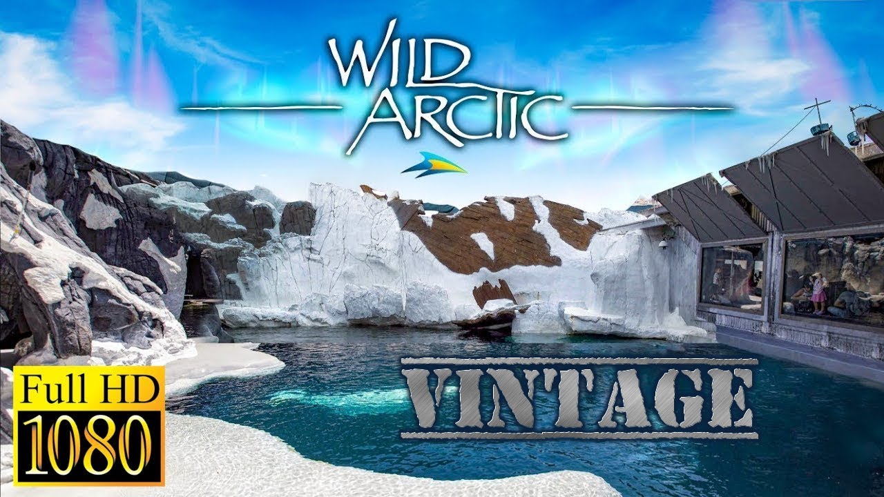 SeaWorld's Wild Arctic (1997) *** Ремастеринг в HD с комментариями *** Закрытый Dark Ride из 1990-х