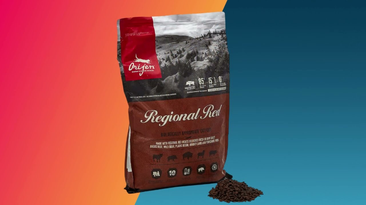 8 Best High Protein Cat Food to Buy 2026