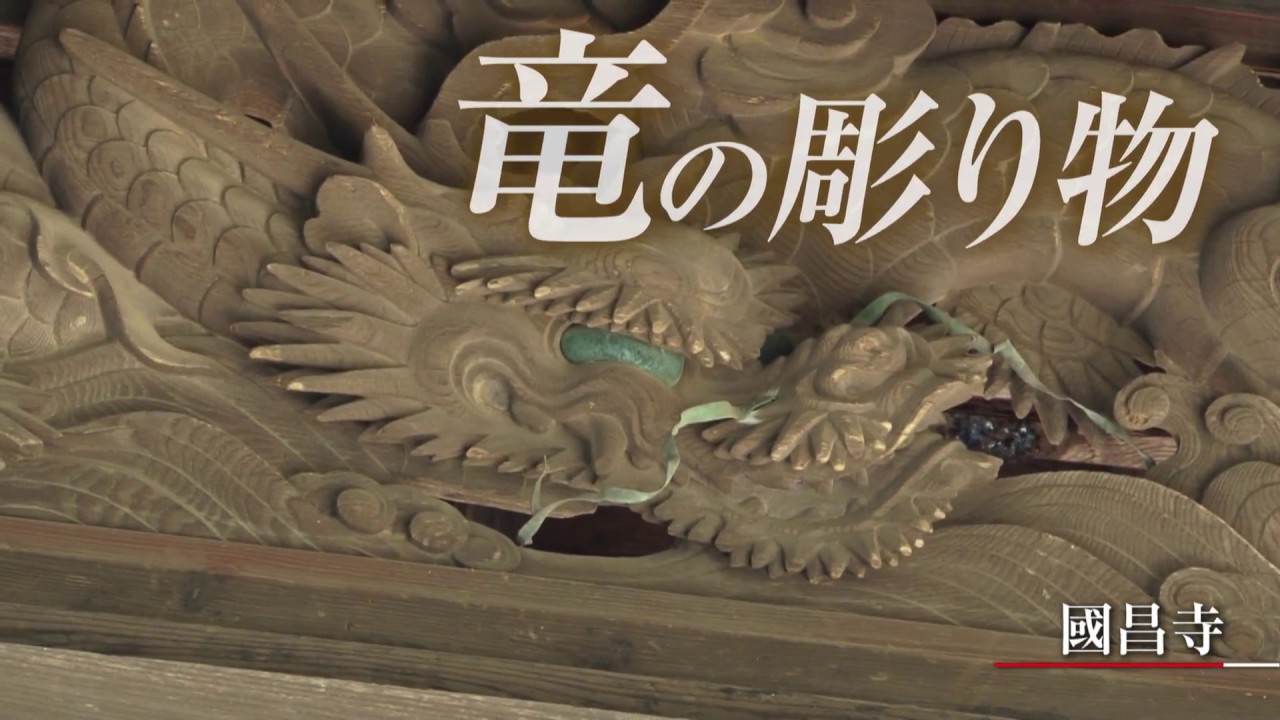 見沼たんぼの魅力