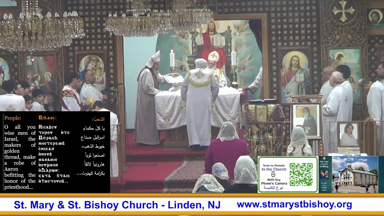 Sunday Divine Liturgy 2/1/2026 قداس الأحد الإلهى