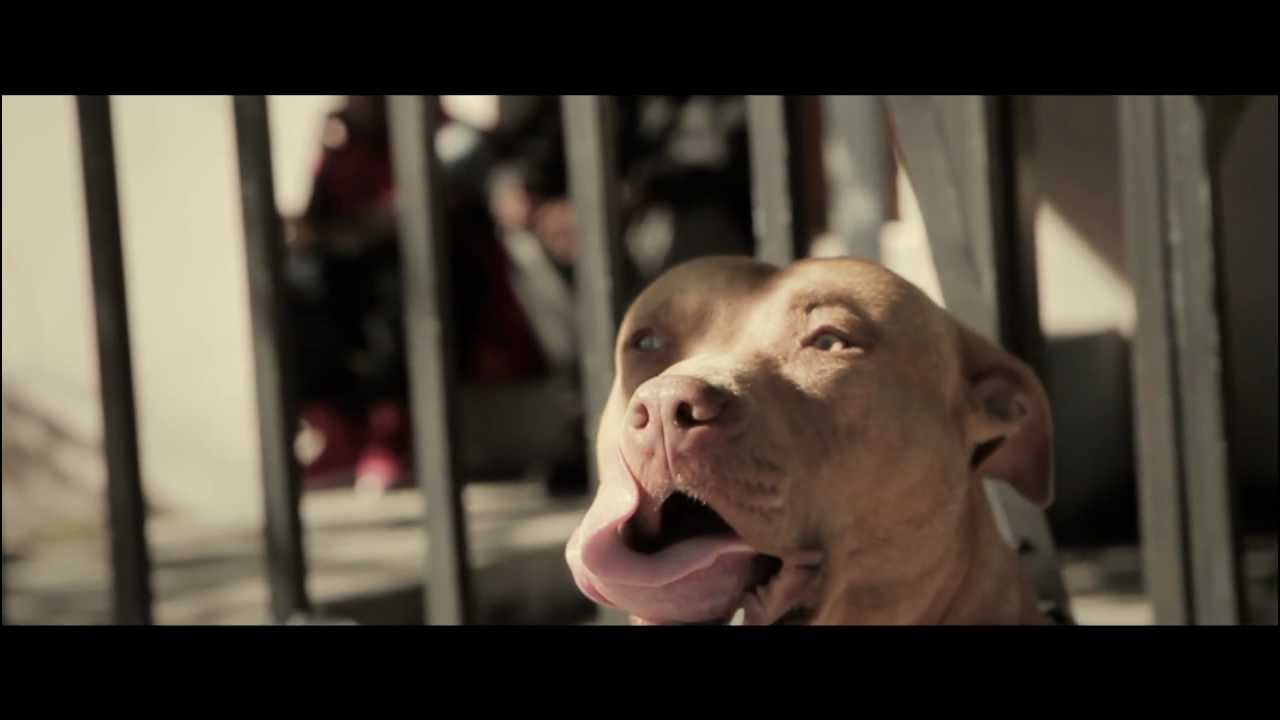 Young Breed - 