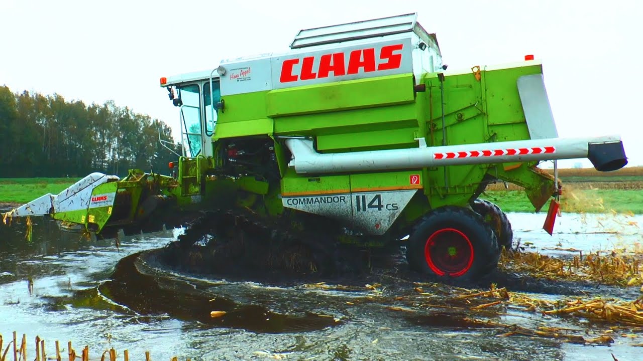 MAISDRESCHEN EXTREM - CLAAS COMMANDOR 114 CS im Donaumoos / Moor - Corn Harvest extreme