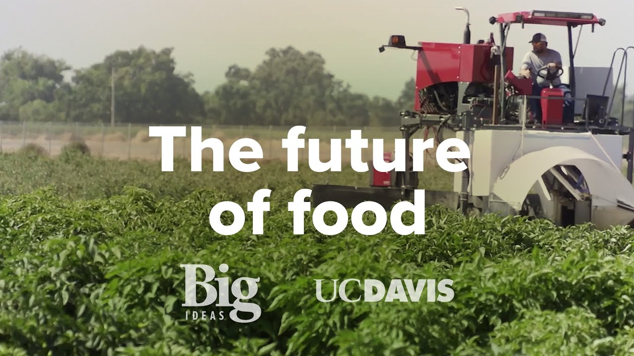 Sustainable Agriculture | UC Davis Big Ideas: Smart Farm