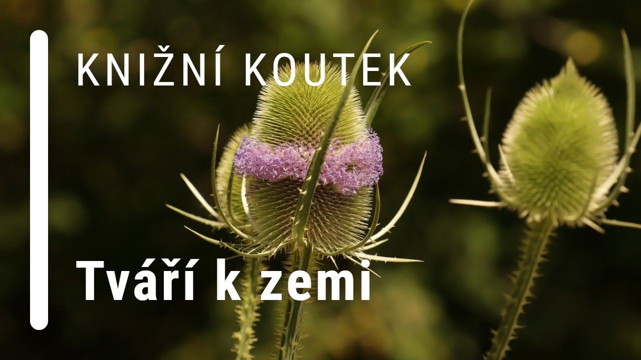 📖: Tváří k zemi