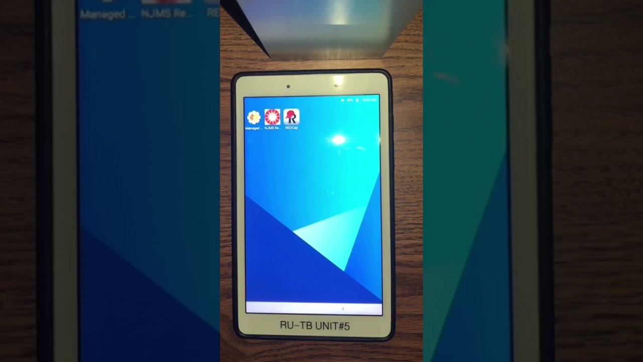 REDCap App General Overview