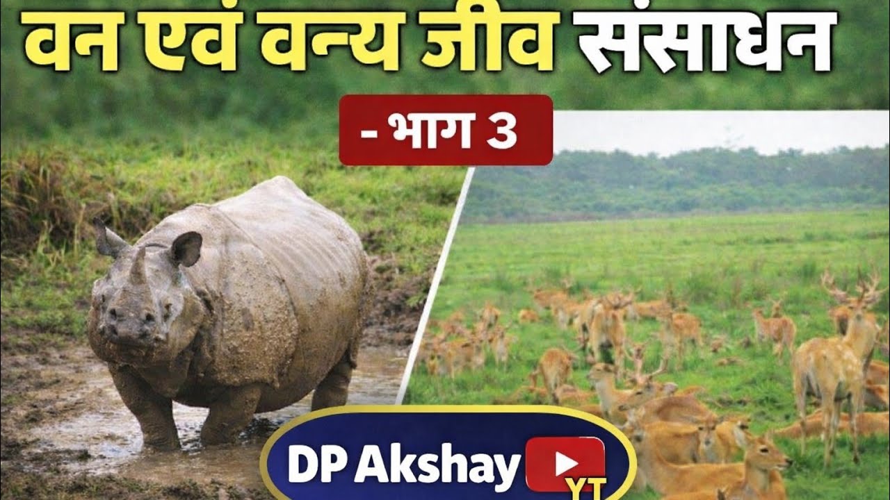 forest and forest animal resources what is the main reason of all animals are gone in India now