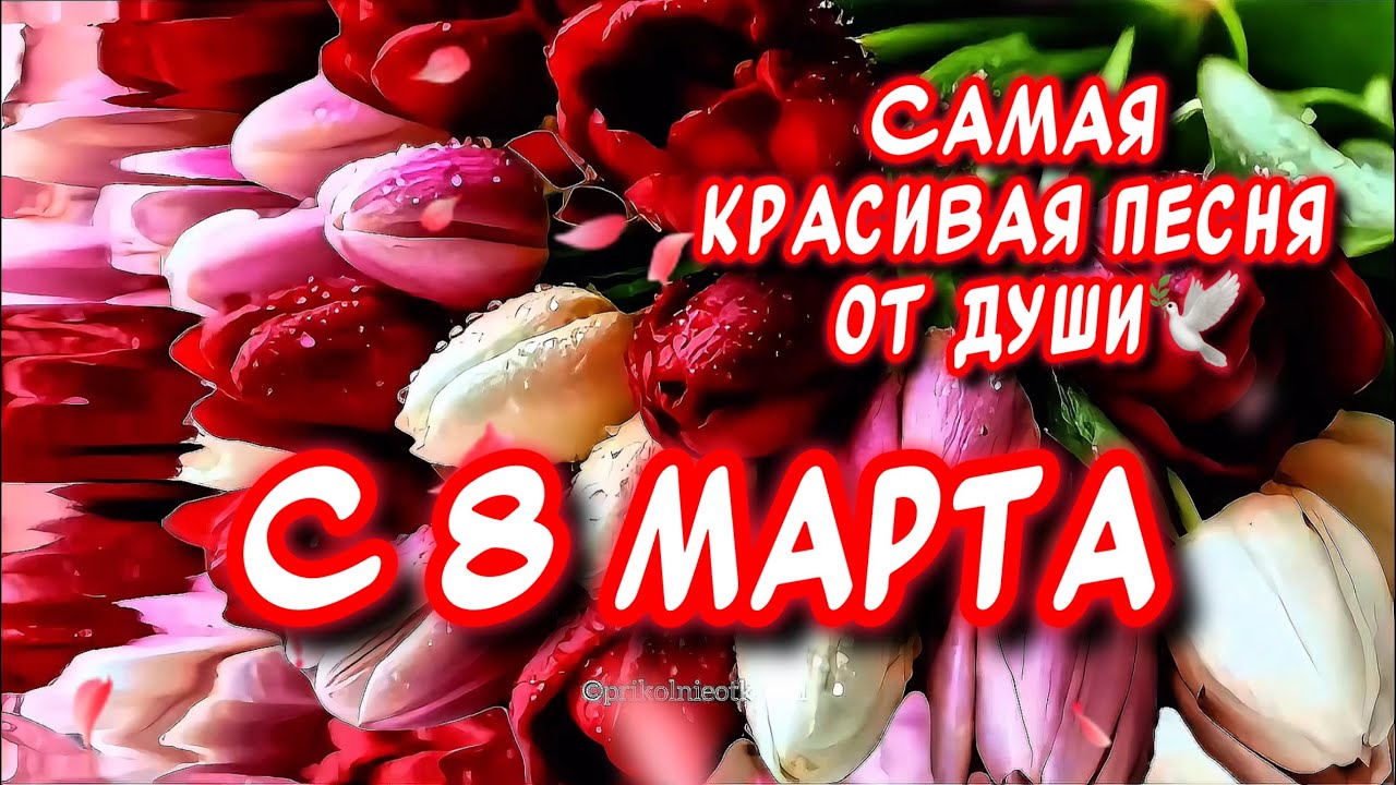 Самое Красивое песня-поздравление С 8 марта🌹 От души🕊️