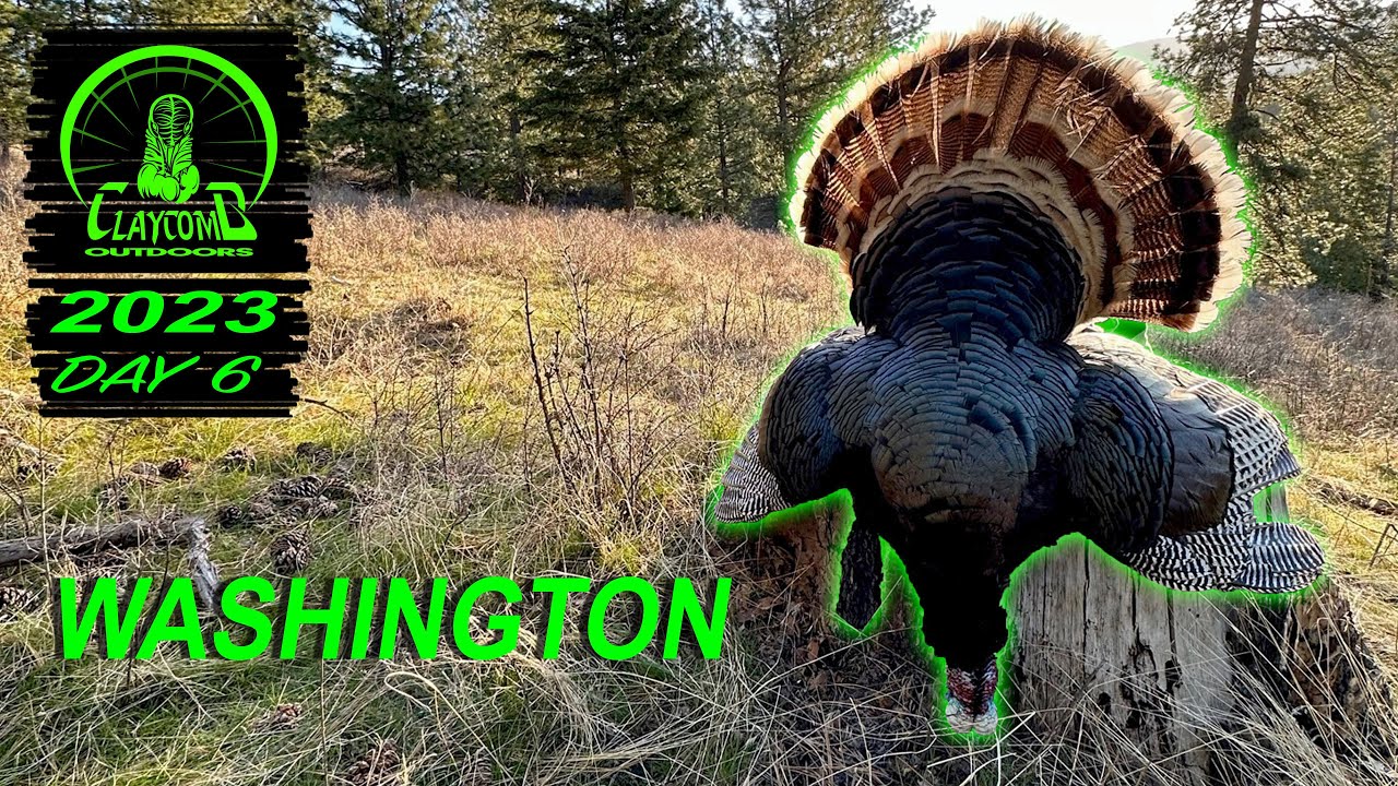 INCREDIBLE ROOST HUNT on the last day! (Awesome audio) REAL TURKEY HUNTING