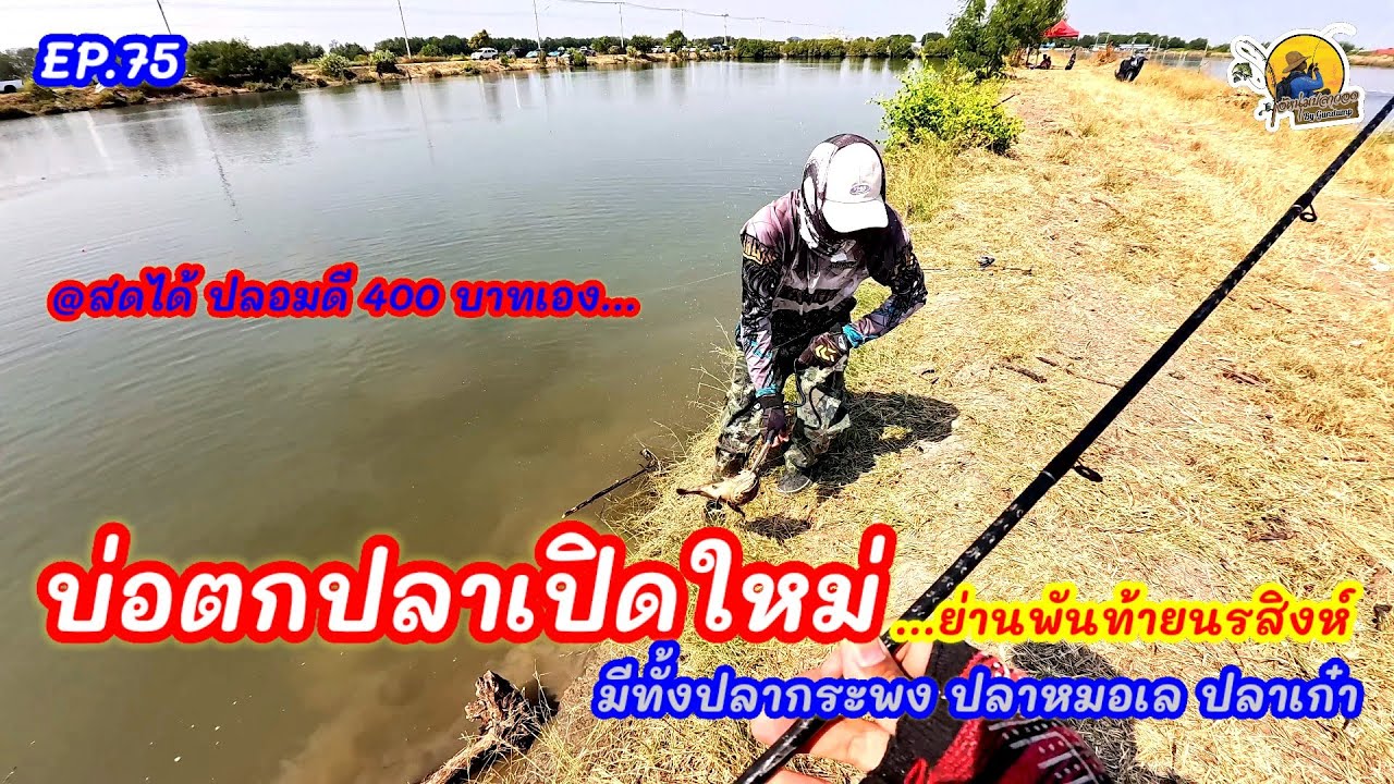 (EP.75) บ่อใหม่ มีกระพง หมอ เก๋า กุเรา ให้ค้นหา