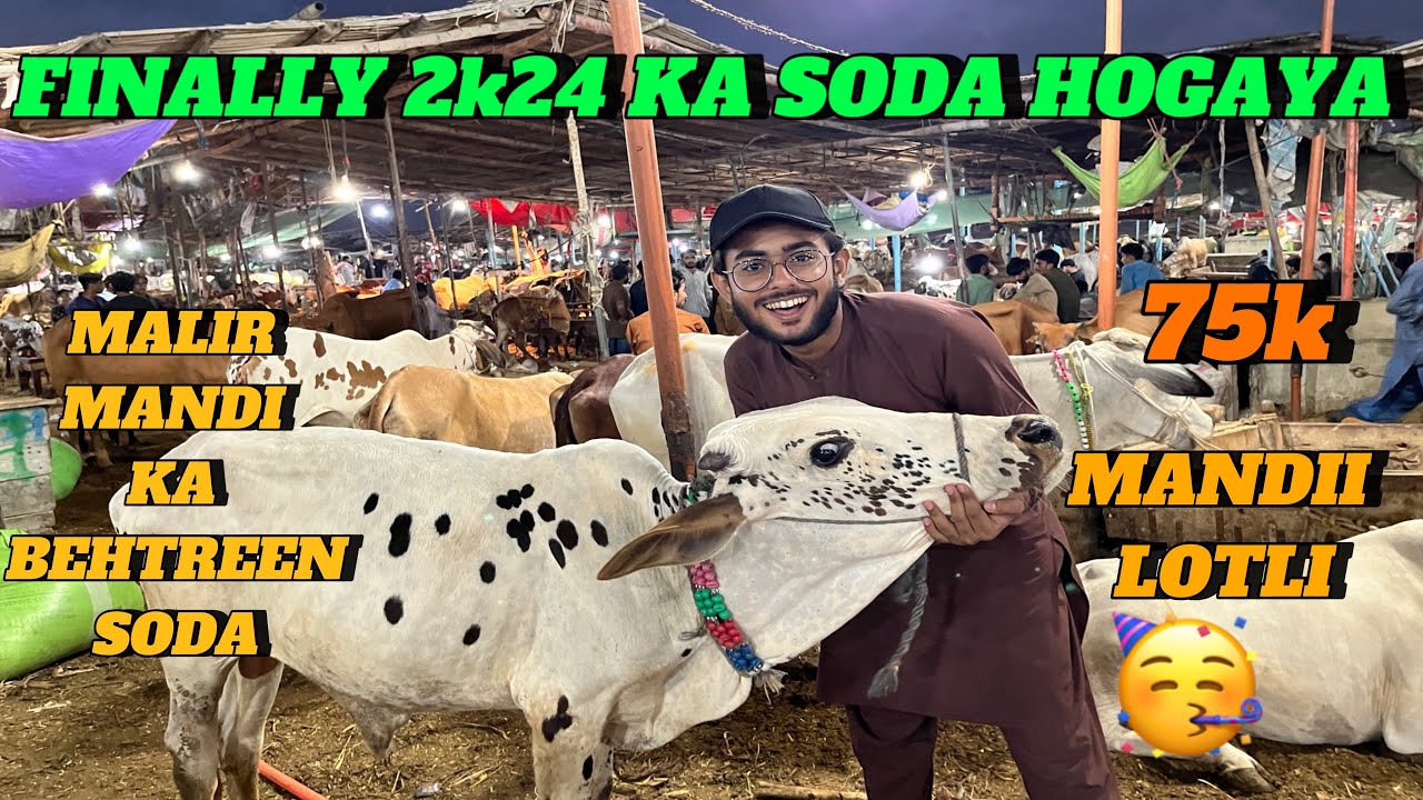 Alhamdulillah❤️ Apna Qurbani ka janwar leylia || soda ma beopari sa larai bhi hogay😱😅|| SHAZII VLOGS