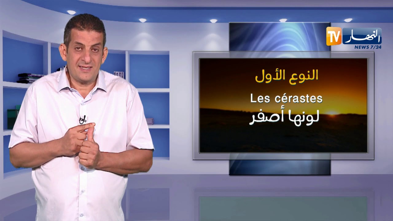 إرشادات النهار:  أنواع الثعابين في الجزائر
