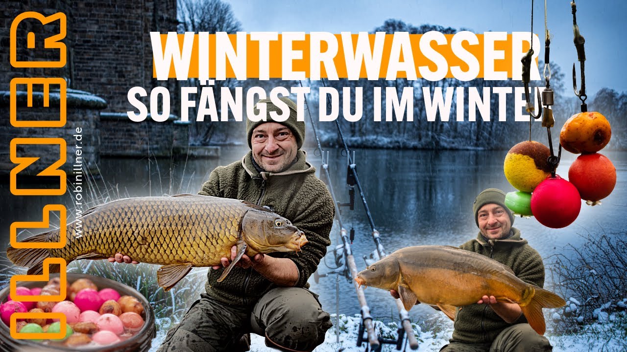 SO FÄNGST DU WINTERKARPFEN! 🐳❄️🥶 - FUTTER UND KÖDER! #karpfen #angeln #futter