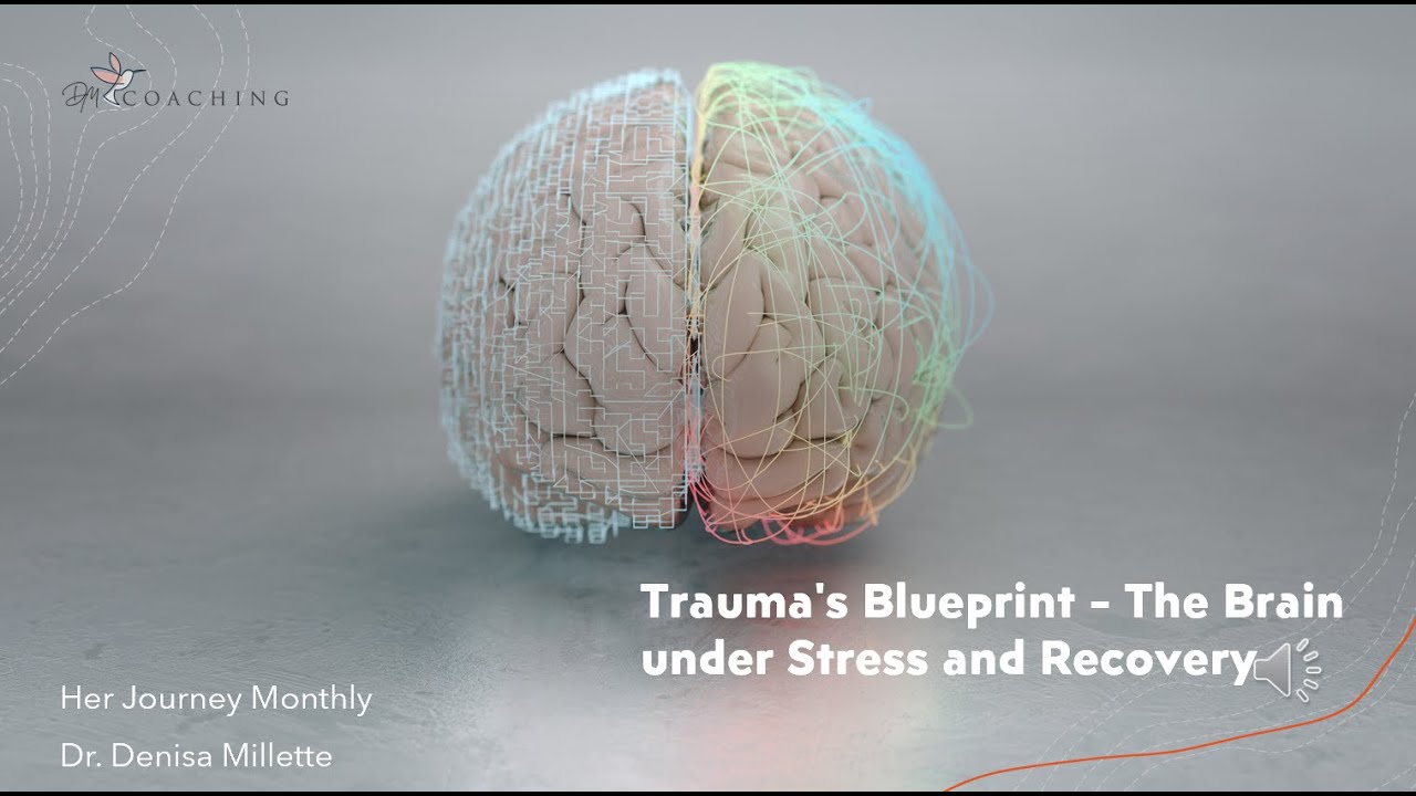 Trauma's Blueprint The Brain under Stress and Recovery