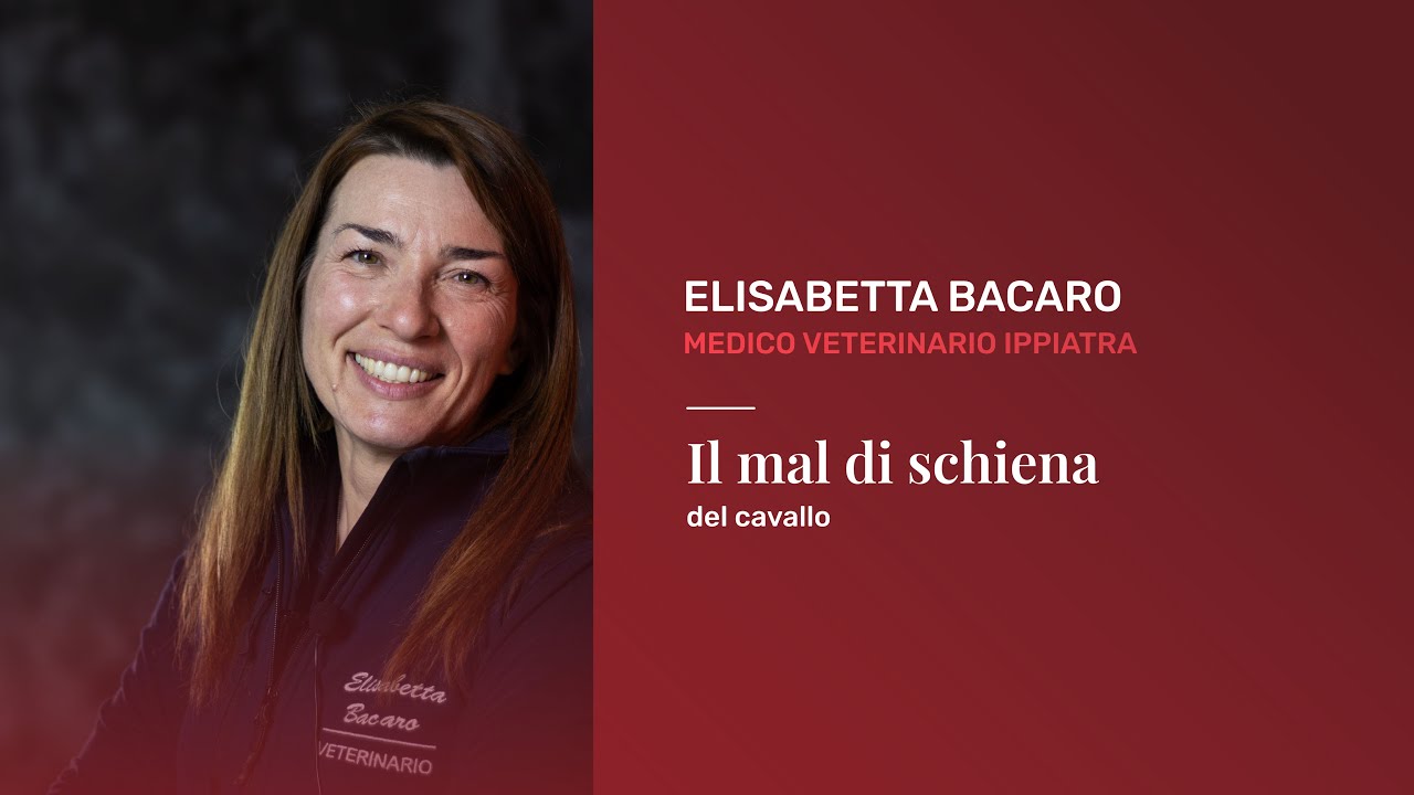 Il mal di schiena del cavallo