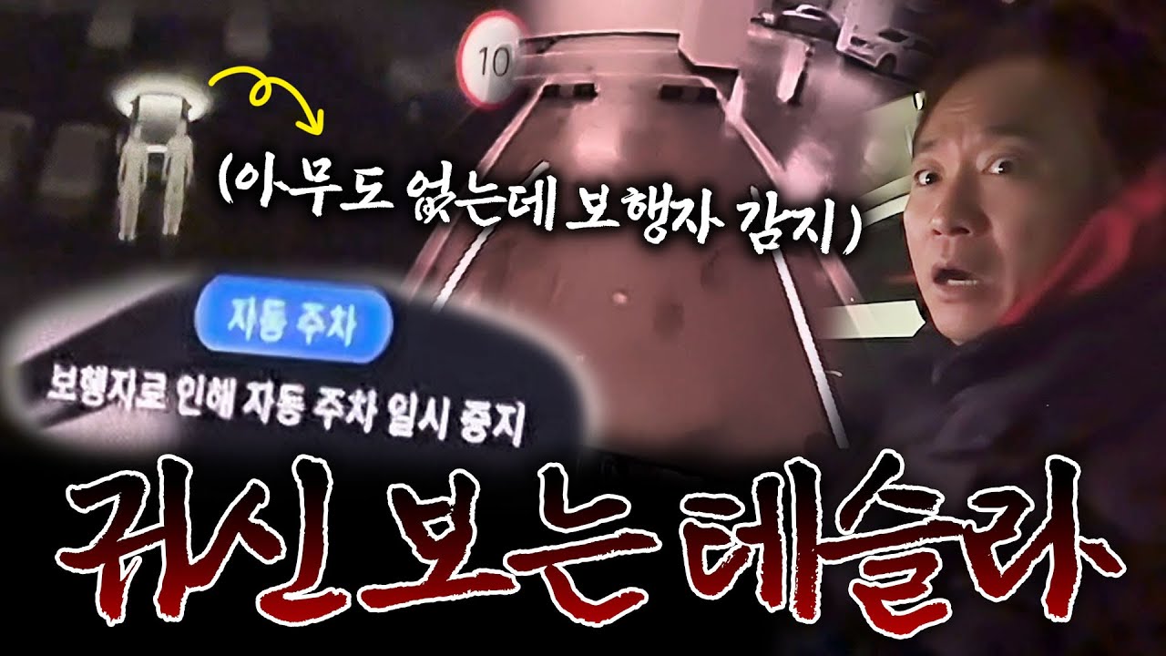 주차장에 나타난 귀신..?! 테슬라가 감지한 유령 보행자