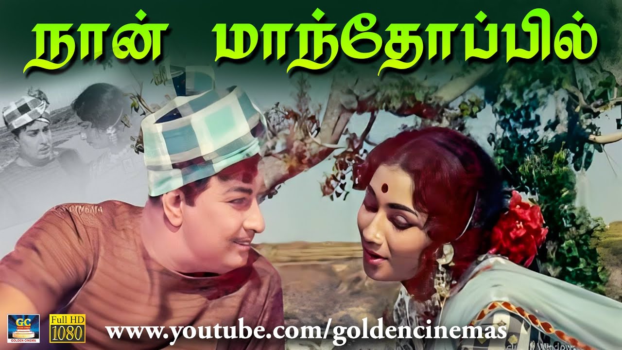 நான் மாந்தோப்பில் | Naan Mandhoppil | Enga Vettu Pillai Video Song | MGR | M.S.Viswanathan 1960s HD