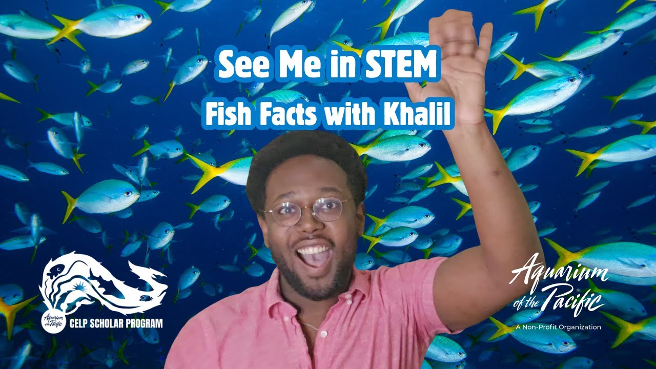 See Me in STEM: Fish Facts with Khalil