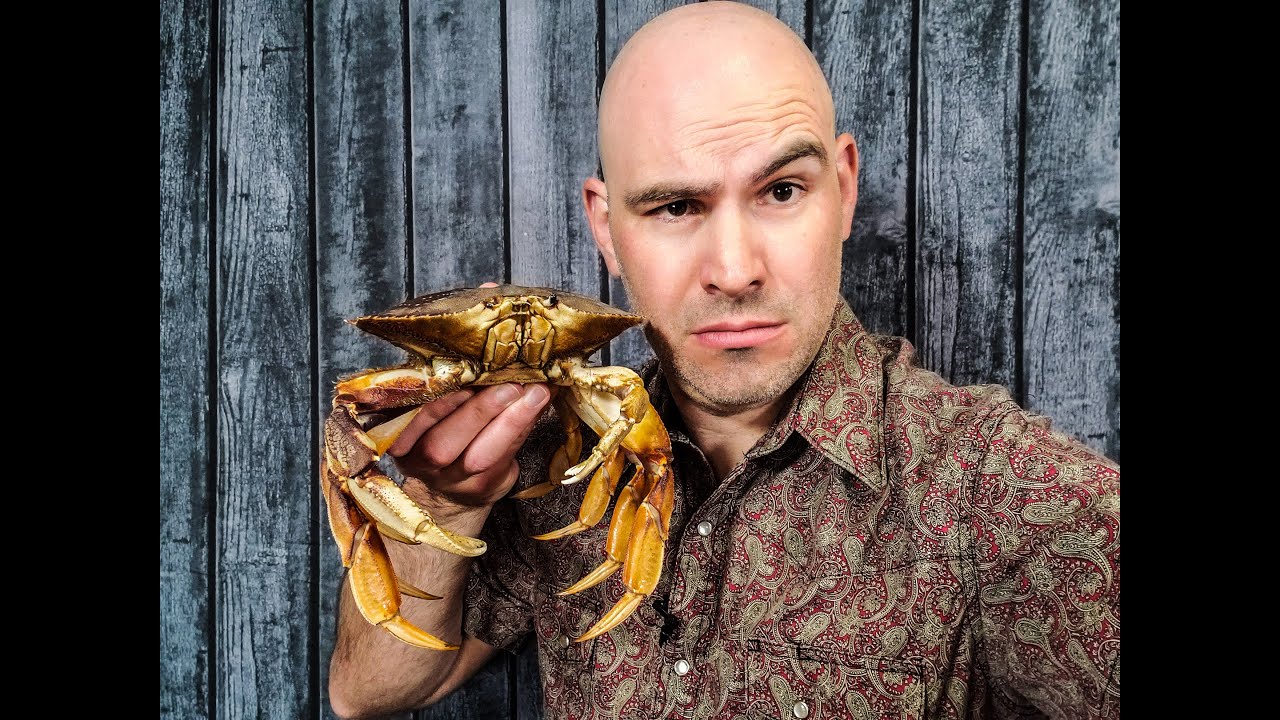 Phylum: Arthropoda, The Crustaceans