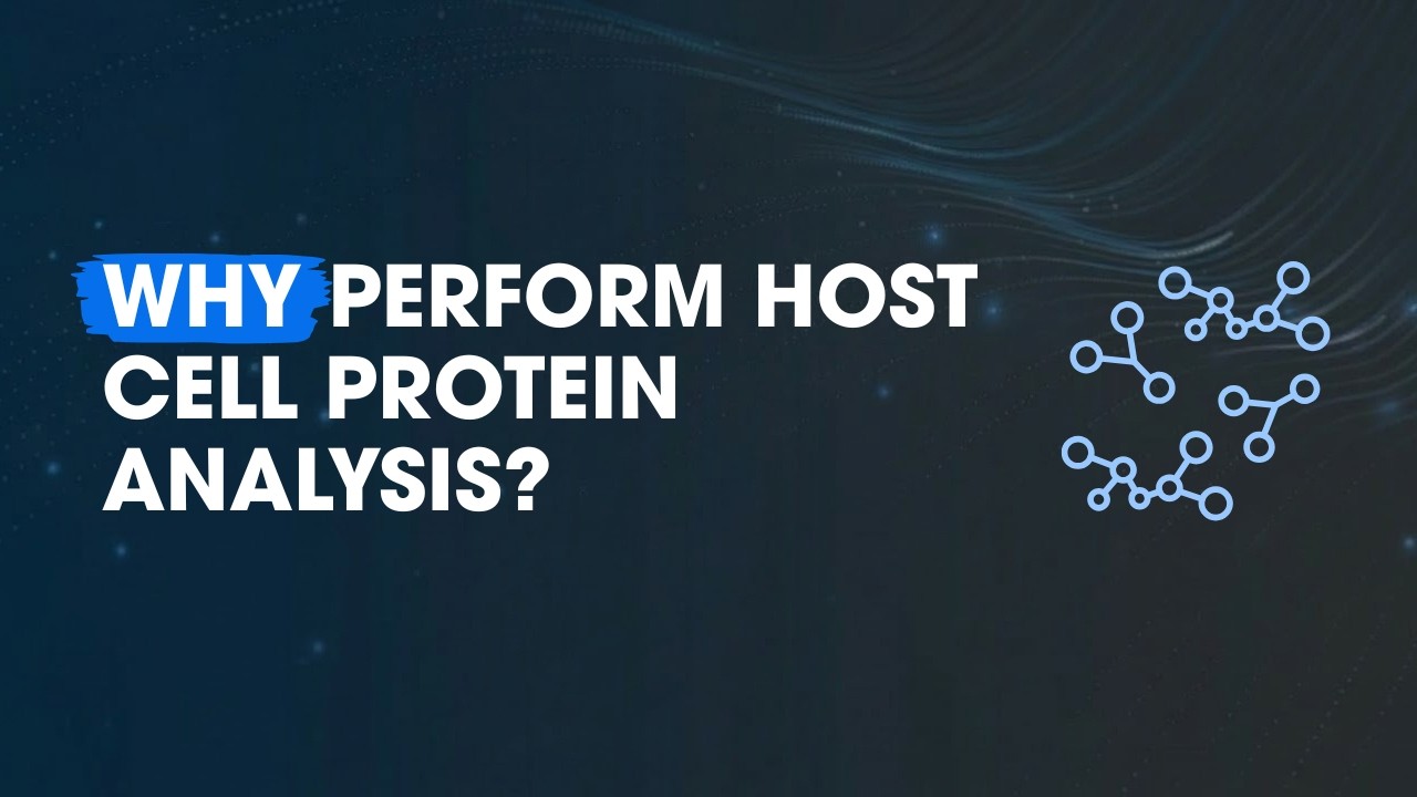 Rapid and Sensitive Identification of Host Cell Proteins with SWATH® LC-MS Acquisition