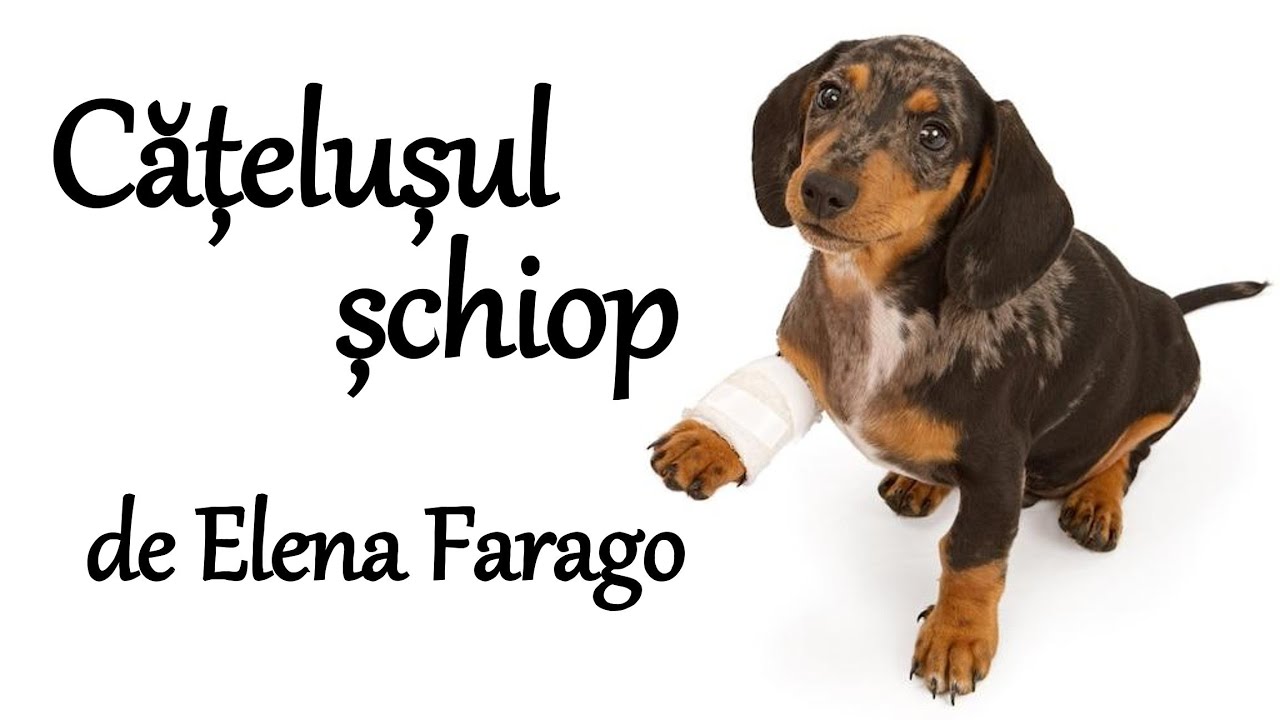Poezia ”Cățelușul șchiop” de Elena Farago | Poezii pentru copii | Poezii cu animale