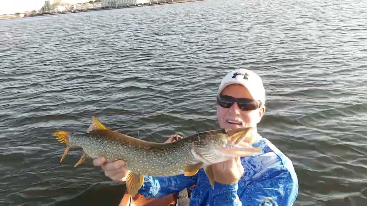 Manistee lake pike fails and catches