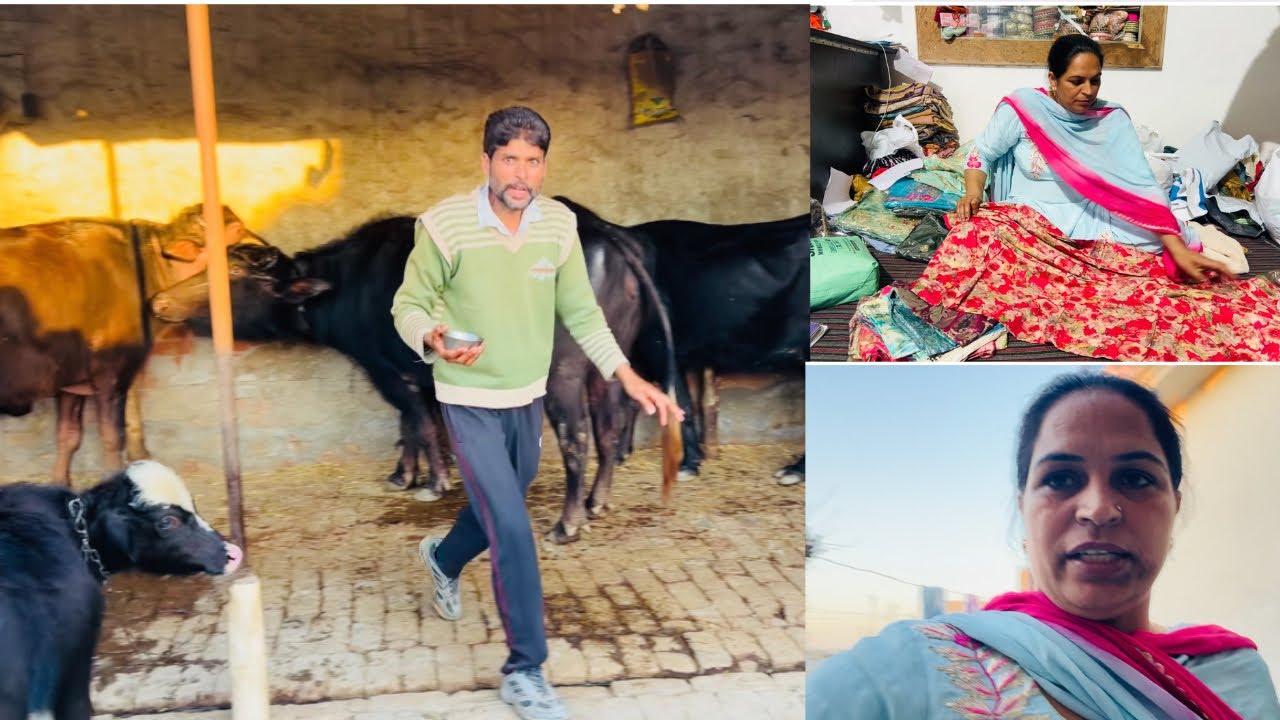 ਤੁਸੀਂ ਵੀ ਅੱਕੇ ਪਏ ਸੀ ਅਸੀਂ ਵੀ ਕੰਮ ਨਿਬੇੜ ਦਿੱਤਾ ll Rajwinder vlog 