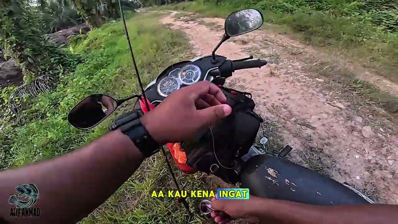 PESTA STRIKE DI PARIT SAWIT ! | DAIWA SALAMANDURA SVTW | DRAVE GRANDMASTER 2 