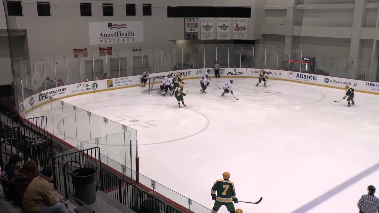 NJIT vs CWPost 2/7/2014 [Full Game]