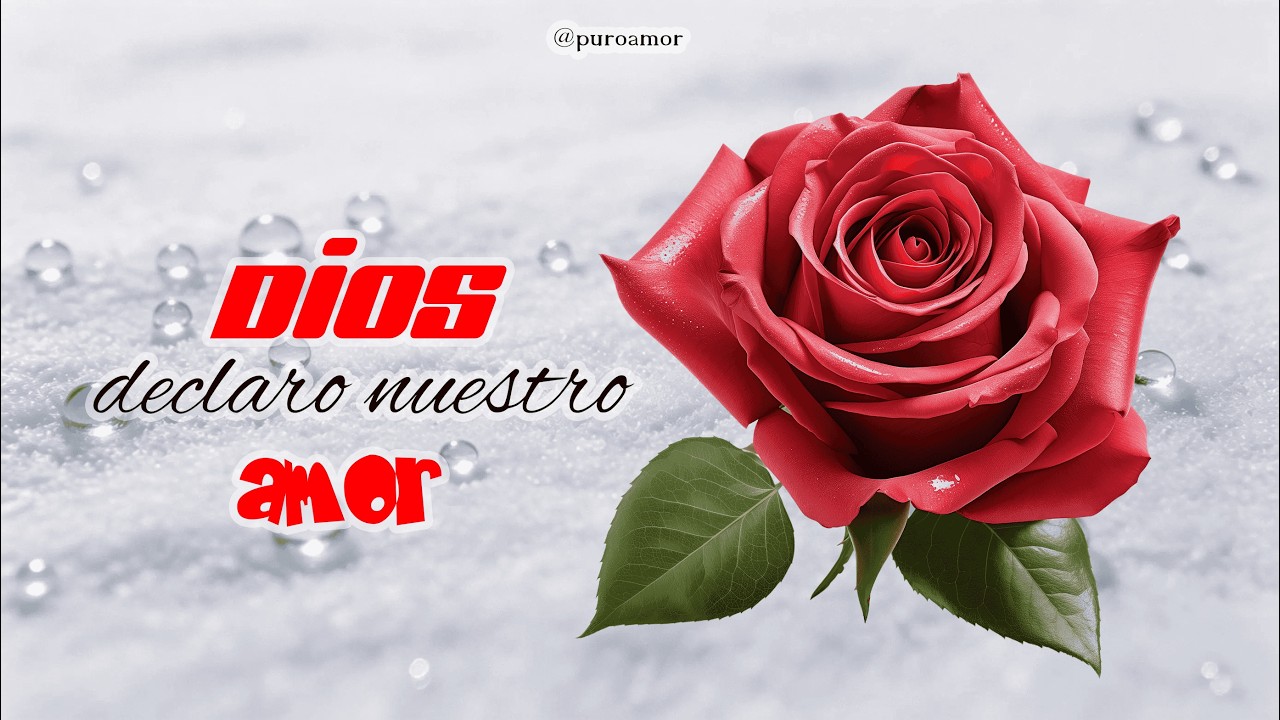 Dios declaro el amor entre nosotros - dedicado al amor verdadero #amor #unpocodetuamor #teamo