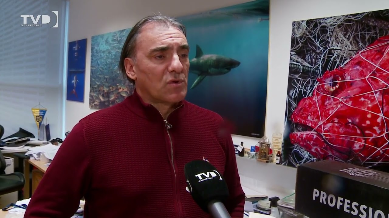 Velika bijela psina u Jadranu izazvala paniku, ali greška je otkrivena! 28.01.2026.