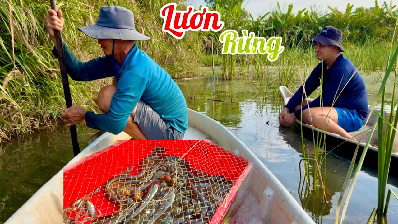 Thăm Lại Mấy Cái Dớn Dính Toàn Lươn Rừng Ngon Quá Xá Đã •UMQT | #1043