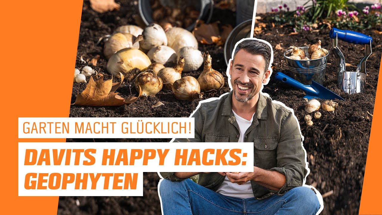DAVITS HAPPY HACKS: Pflanze dir Vorfreude mit Geophyten | OBI | Garten macht gl&uuml;cklich