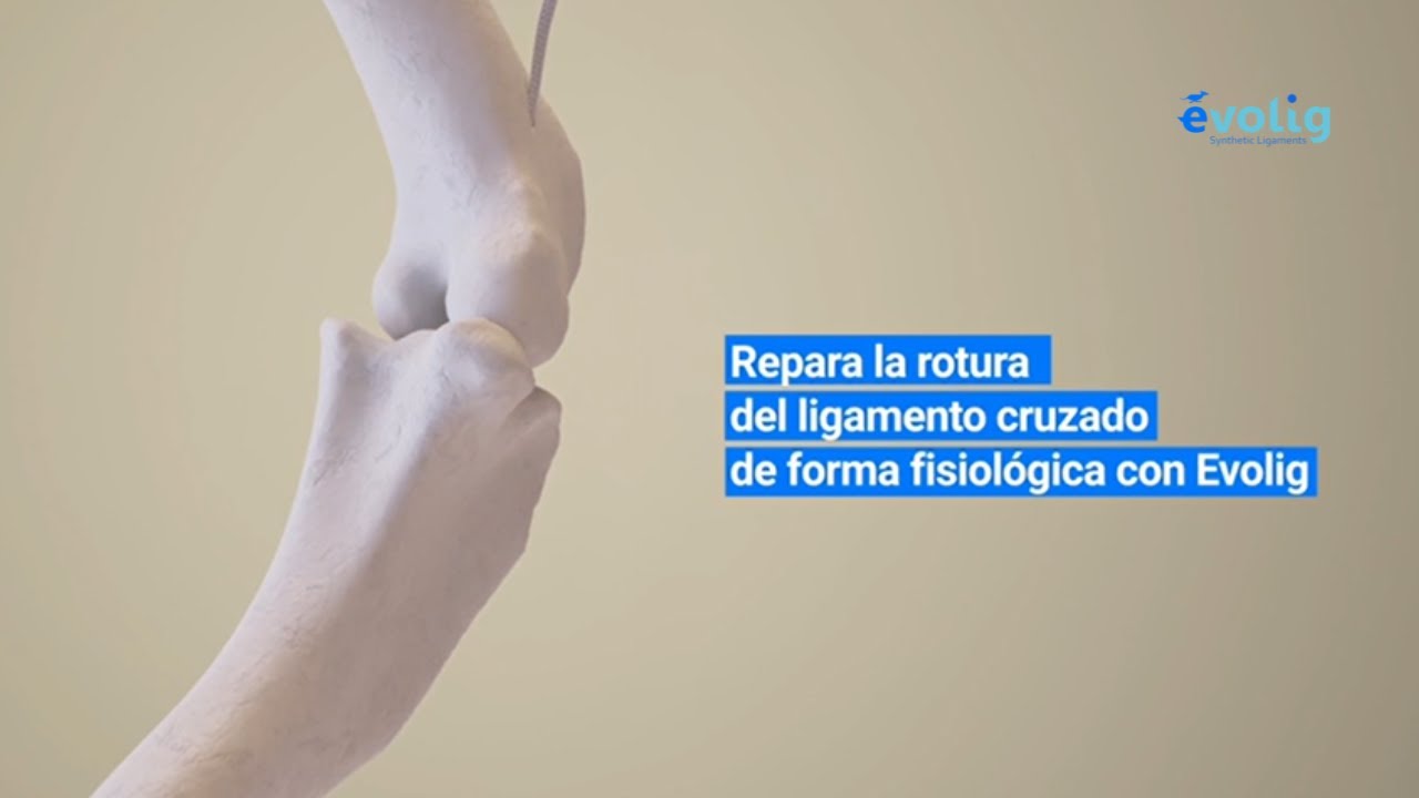 Evolig: La Revolución en Ortopedia Veterinaria | Cirugía del Ligamento Cruzado Explicada