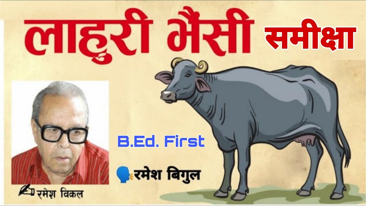Lahuri Bhaishi Katha - लाहुरी भैँसी कथा समीक्षा - Ramesh Bikal -Telling By Ramesh Bigul-B.Ed.First