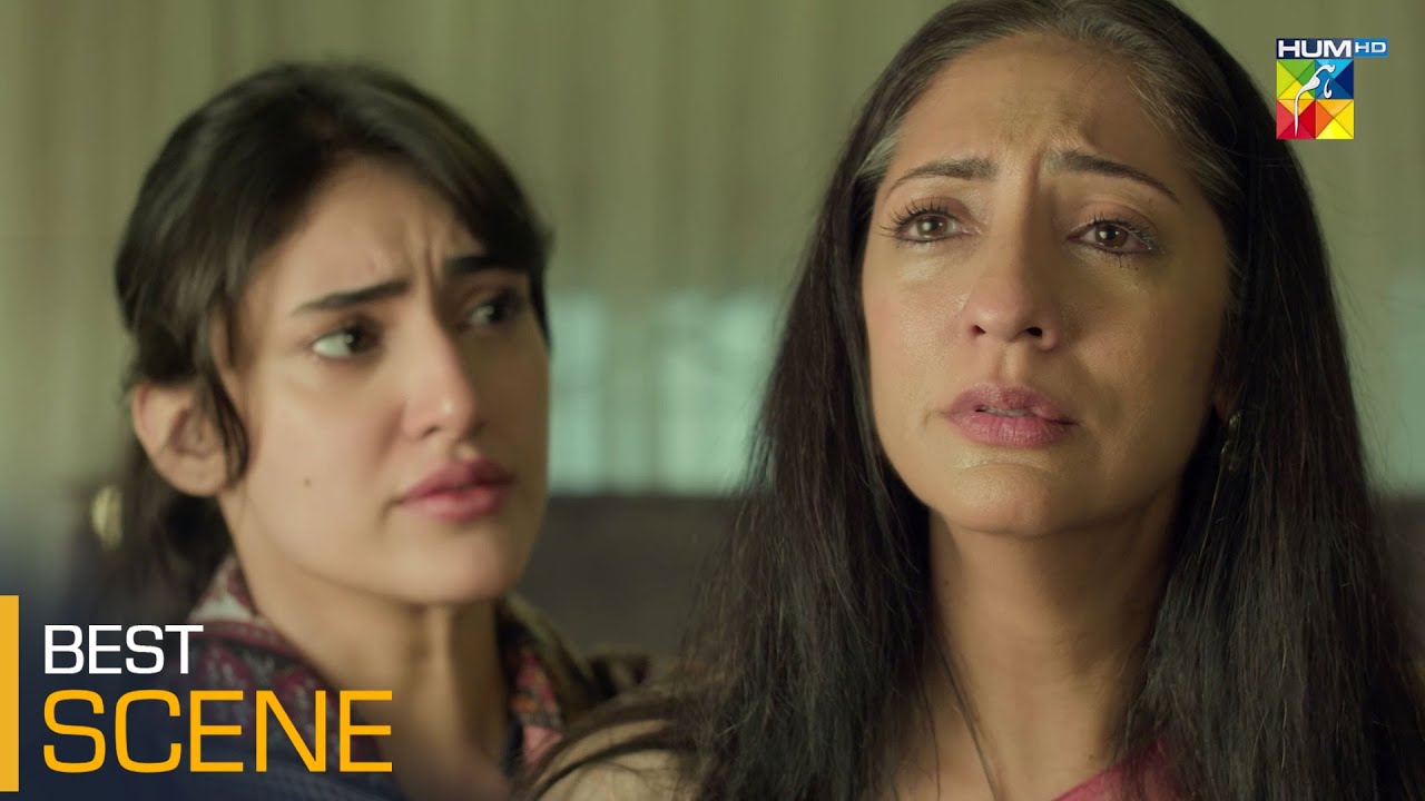 Zulm - Episode 20 - Best Scene 02 - #faysalqureshi #saharhashmi #shehzadsheikh - HUM TV