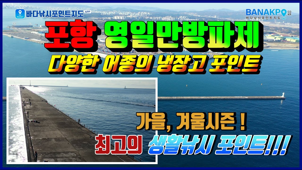 포항 영일만 방파제 사계절 다양한 어종의 냉장고 포인트~!