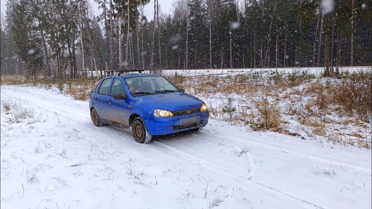 Однажды мы вновь купили Калину