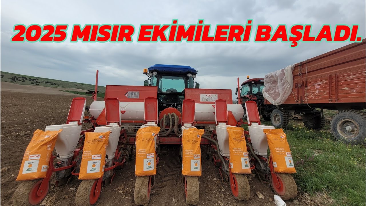 MISIRLARI EKİYORUZ (detaylar video' da)#farming #automobile #smartphone #farm #genshinimpact #tarım