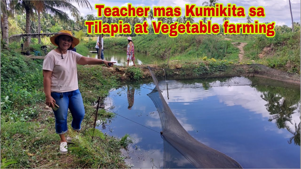Teacher mas Umasesno sa Farming kaya Iniwan ang Pagtuturo