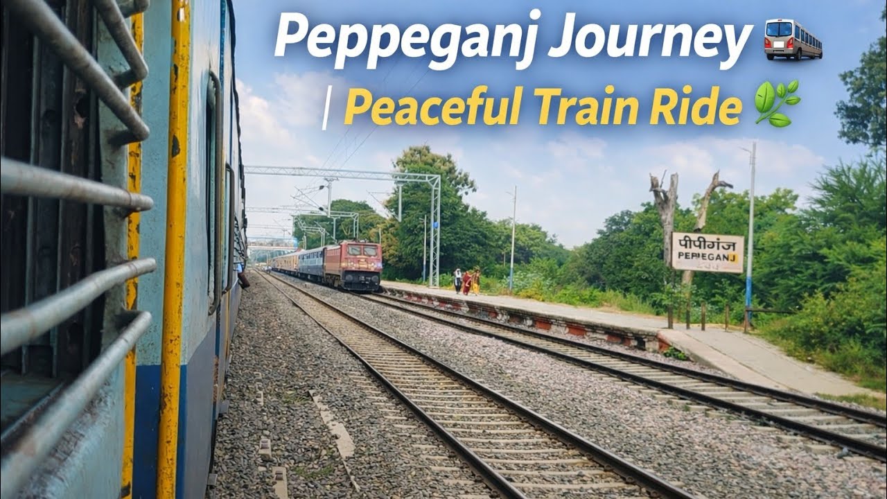 Peaceful Train Journey 🌿 from Gorakhpur to Peppeganj | Intercity Express 🚆