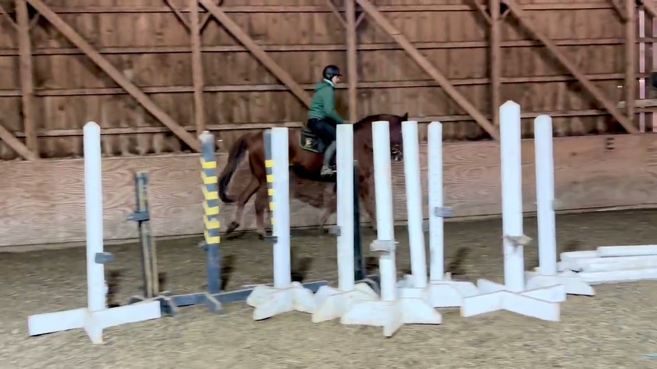 Hennessy (Johnny Bootleggs) schooling ride early March 