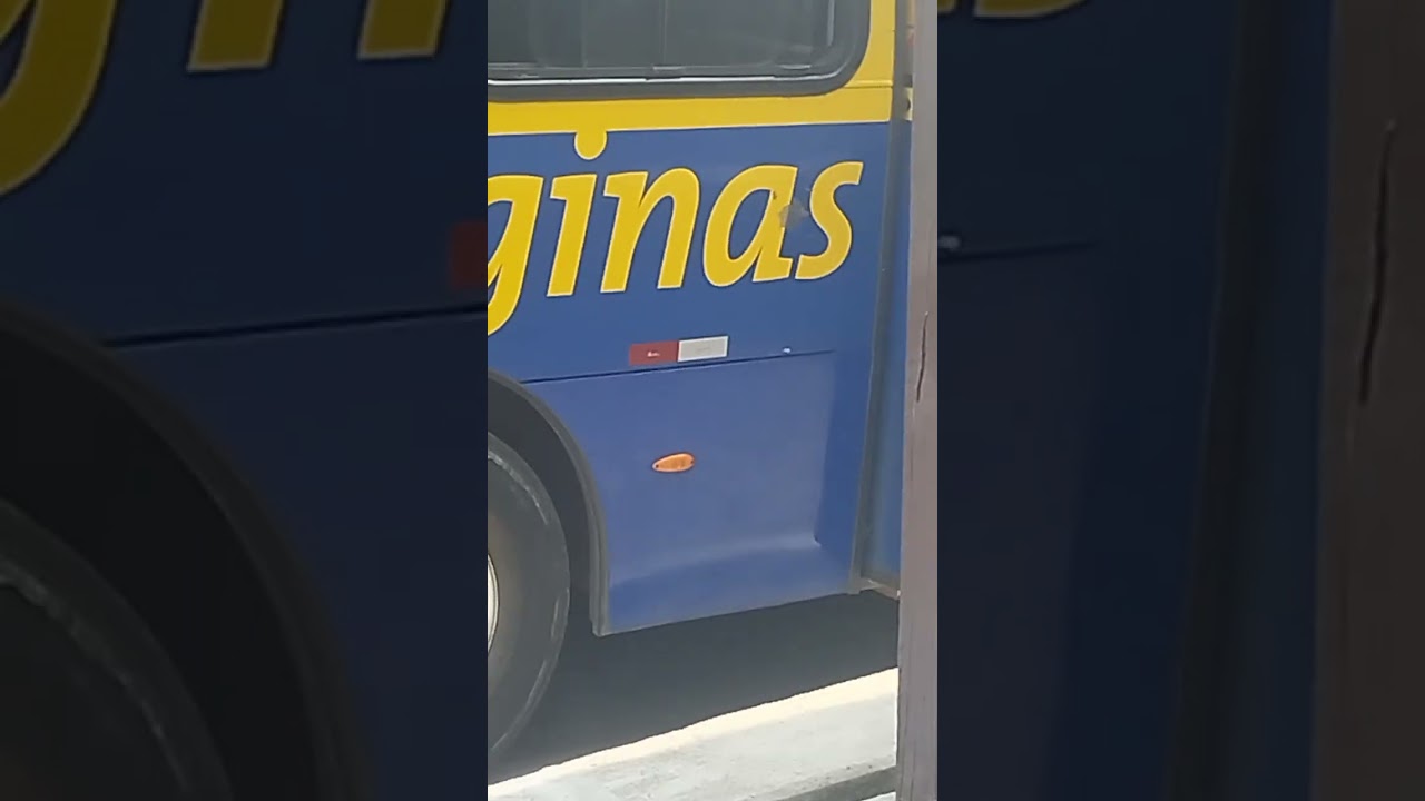 Ônibus da ônibus da reginas