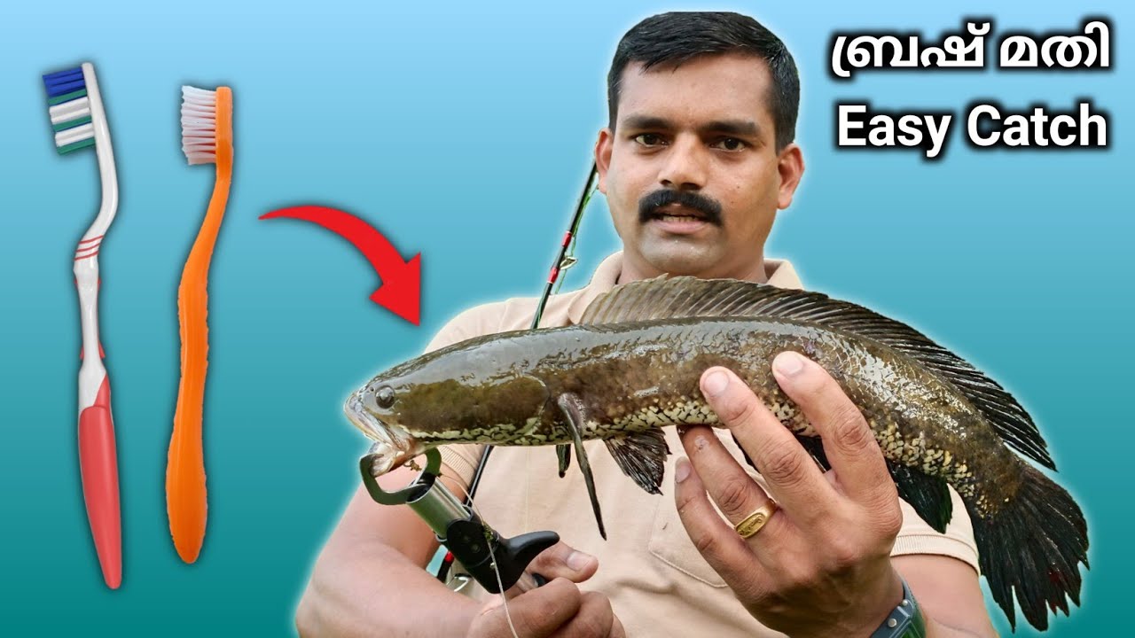 വേഗം മീൻ കിട്ടുന്ന കിടിലൻ ഐറ്റം ഉണ്ടാക്കിയാലോ | Toothbrush Fishing Spinner Frog Making