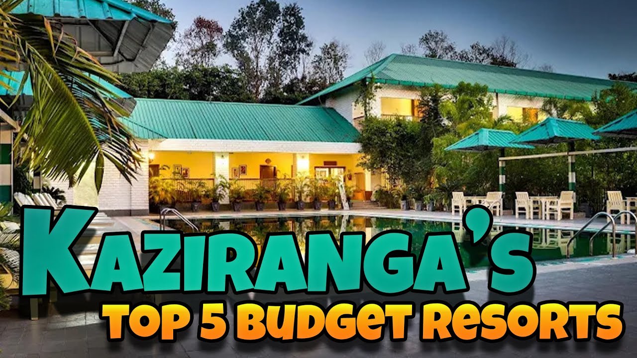 Top 5 Resorts in Kaziranga || Kaziranga National Park | Best place to visit in Kaziranga